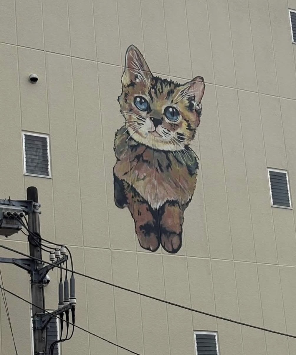 店舗イメージ